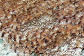 N 166A